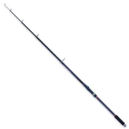 Wędka Robinson Carbonic T-Strong 300cm / 50-120g Wędka Robinson Carbonic T-Strong 300cm / 50-120g