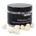 Przynęta CC Moore Dumbells Wafters 10x15mm - Odyssey XXX Przynęta CC Moore Dumbells Wafters 10x15mm - Odyssey XXX