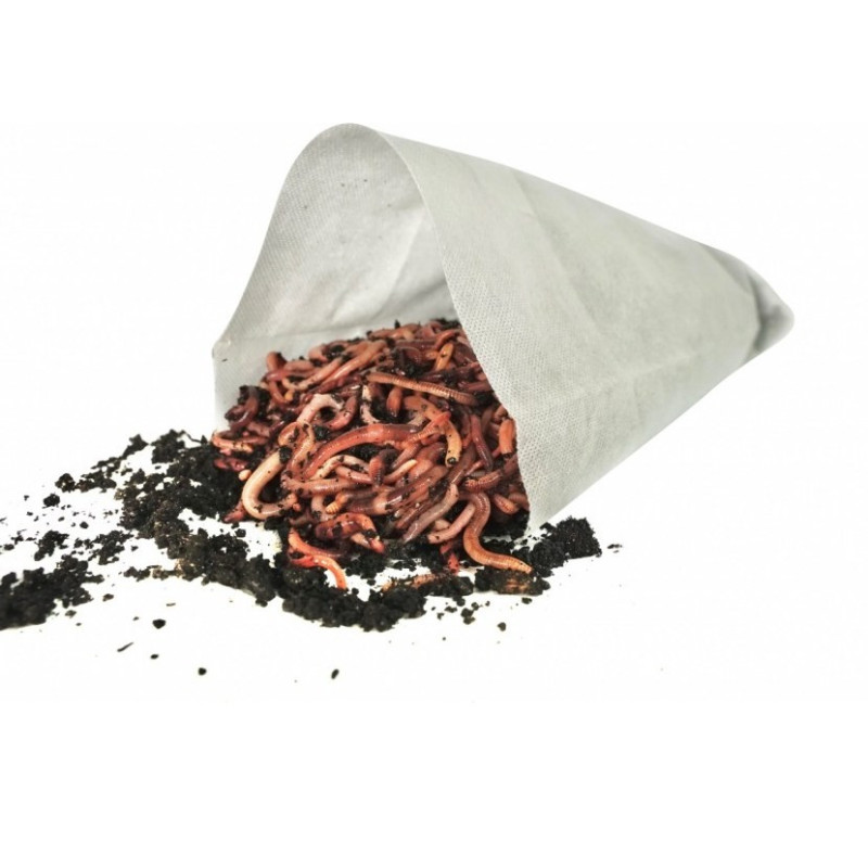 Dendrobena MIX 0,5 kg Liwi