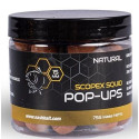 Kulki NASH Scopex Squid Pop Ups Natural 2024 75g Kulki NASH Scopex Squid Pop Ups Natural 2024 75g