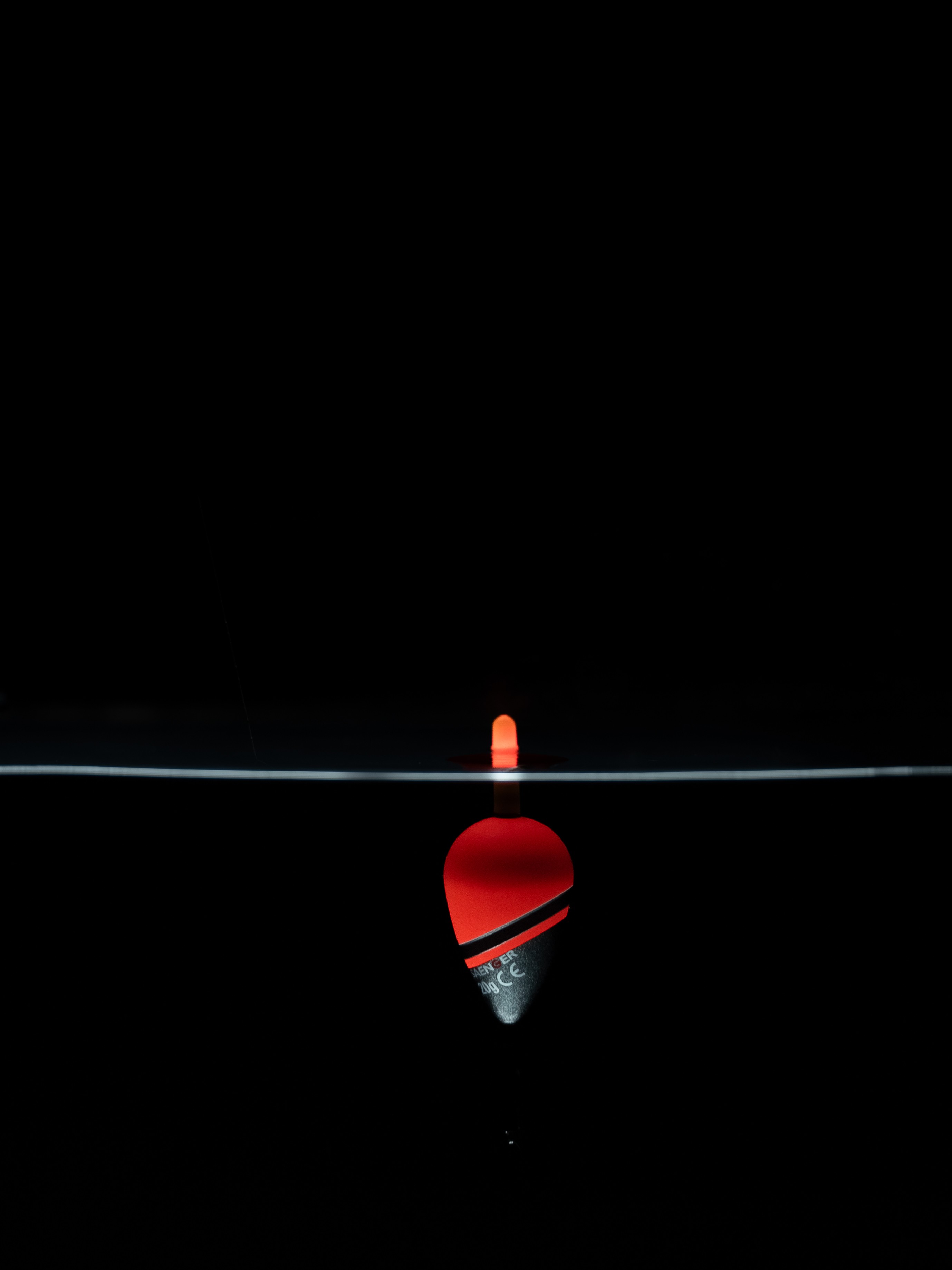 splawik-iq-led-control-big-fish-laufpose-saenger splawik-iq-led-control-big-fish-laufpose-saenger