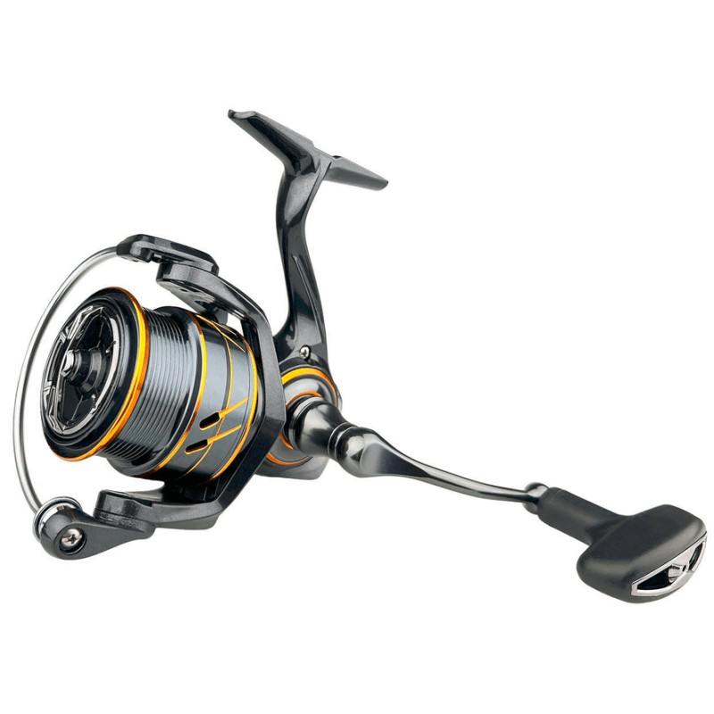 kolowrotek-arima-sakana