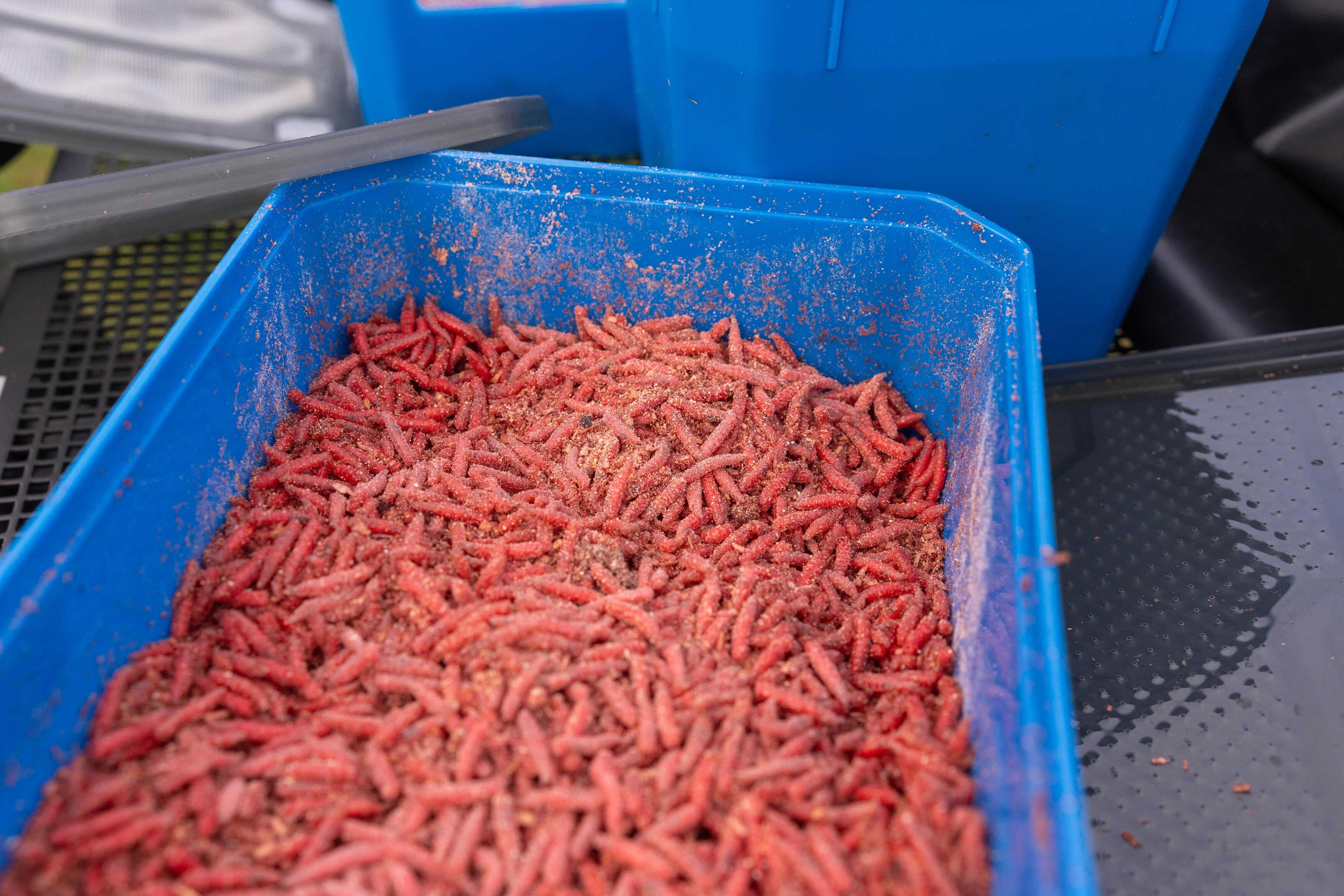 pudelko-preston-bait-tub-6-pint-3-4l-preston pudelko-preston-bait-tub-6-pint-3-4l-preston