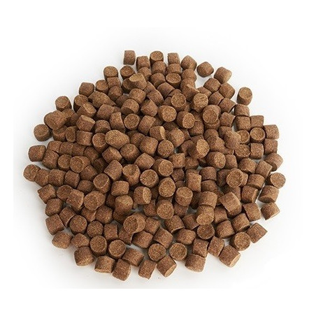 pellet-aller-master-aller-aqua