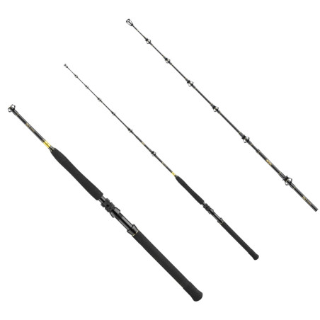 wedka-bg-big-game-daiwa