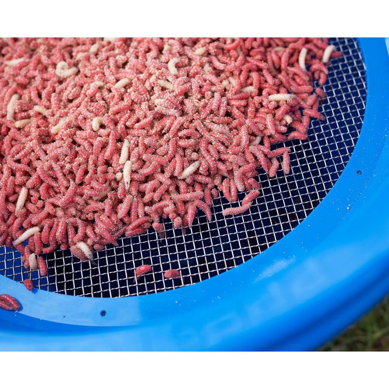 sito-riddle-4mm-preston