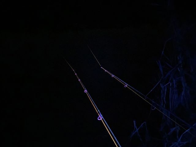 latarka-czolowa-vipex-uv-blacklight-anaconda latarka-czolowa-vipex-uv-blacklight-anaconda