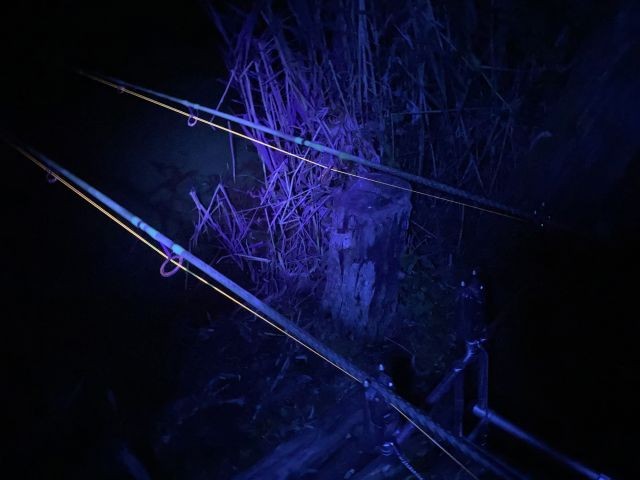 latarka-czolowa-vipex-uv-blacklight-anaconda latarka-czolowa-vipex-uv-blacklight-anaconda