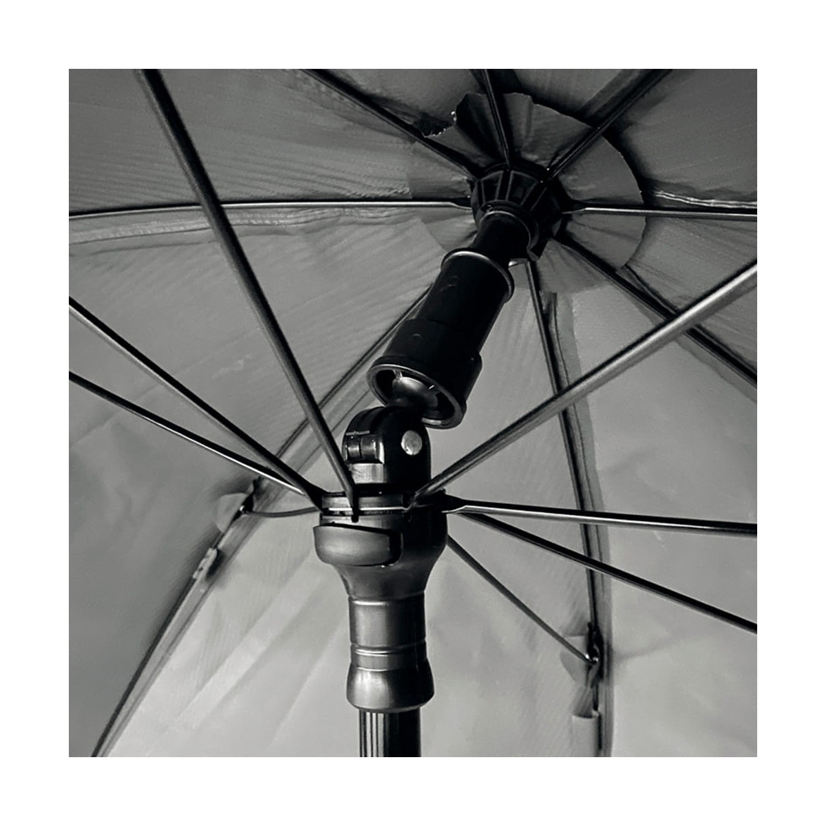 parasol-match-250-lorpio