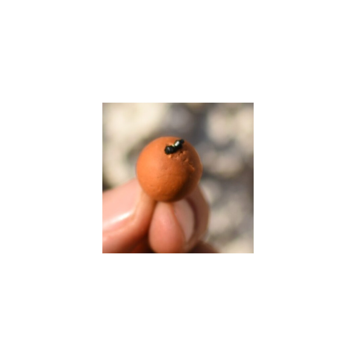 stopery-do-kulek-proteinowych-barylkowe-under-carp