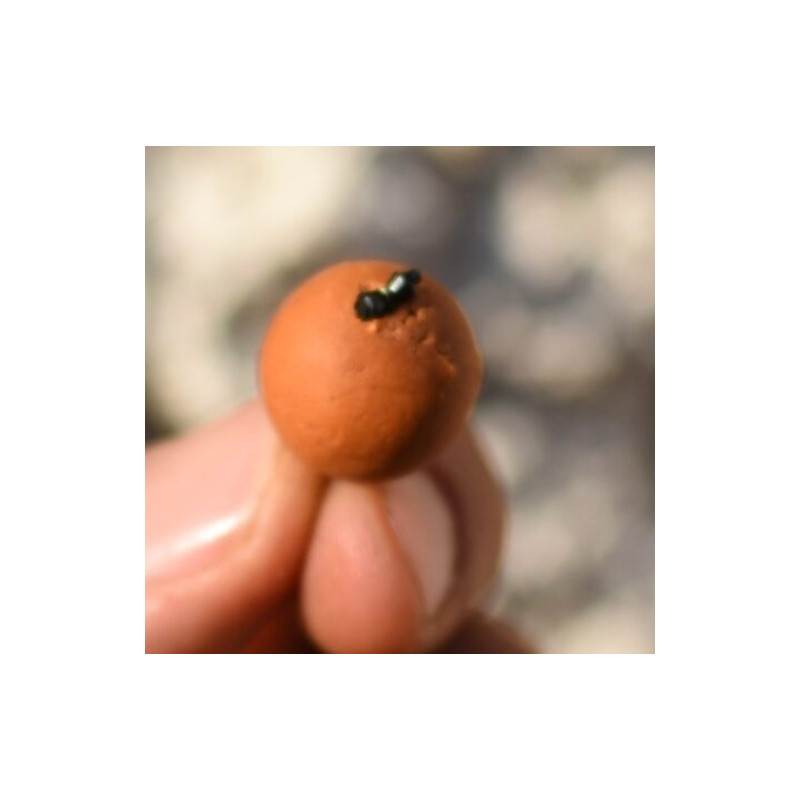 Stopery Under carp do kulek proteinowych baryłkowe