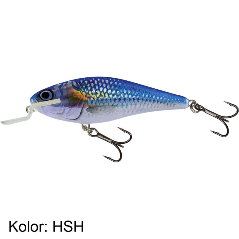 Wobler Salmo Executor ex12SR 12cm HSH