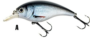 wobler-atract-xxt-b-jaxon wobler-atract-xxt-b-jaxon