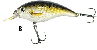 wobler-atract-xxt-b-jaxon wobler-atract-xxt-b-jaxon