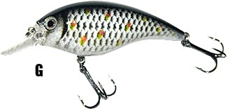 wobler-atract-xxt-b-jaxon wobler-atract-xxt-b-jaxon