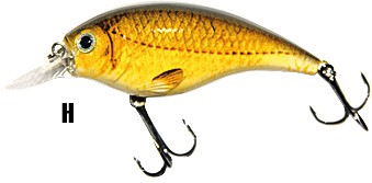 wobler-atract-xxt-b-jaxon wobler-atract-xxt-b-jaxon