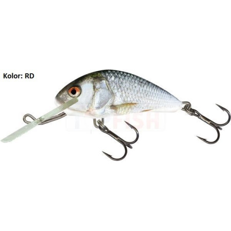 Wobler Salmo Hornet H4F 4cm RD Wobler Salmo Hornet H4F 4cm RD