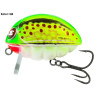 wobler-bass-bug-salmo