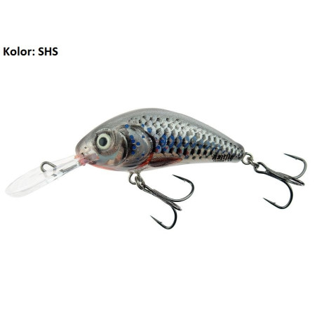 wobler-rattlin-hornet-salmo