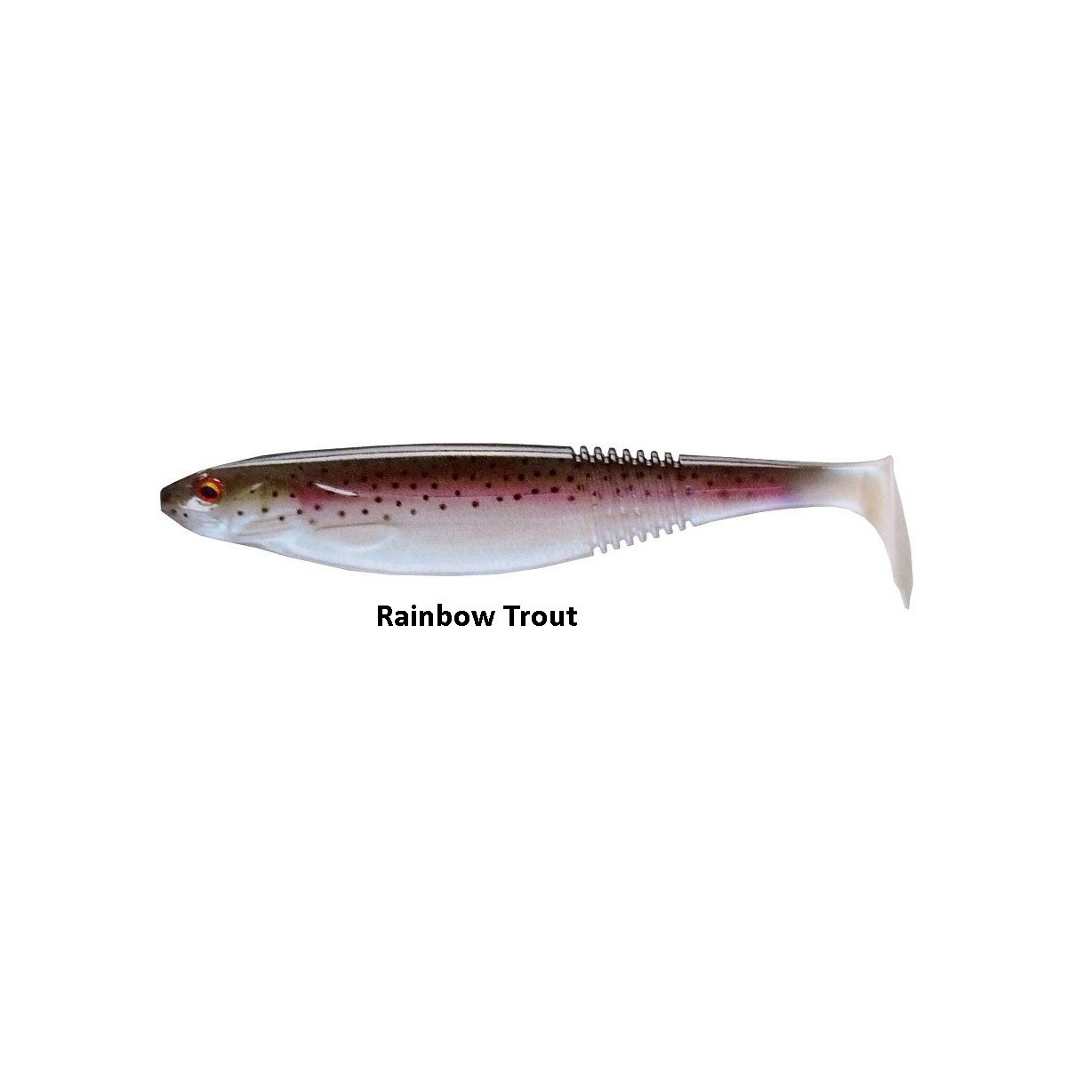 guma-prorex-classic-shad-daiwa