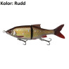 przyneta-3d-roach-shine-gilder-php-savage-gear