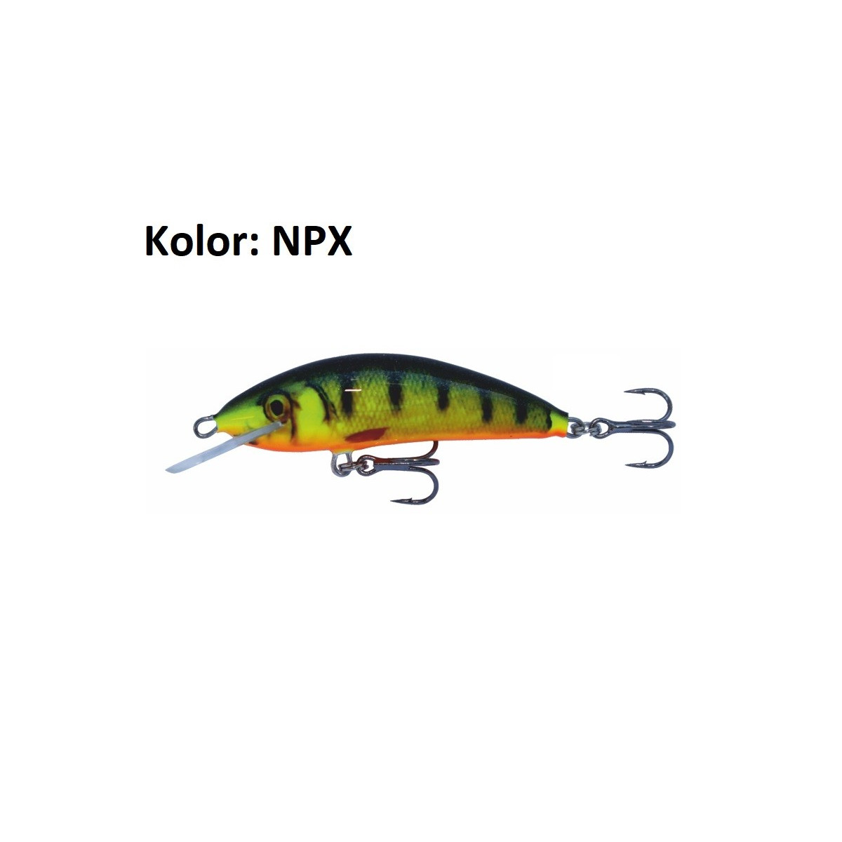 wobler-winner-kenart wobler-winner-kenart