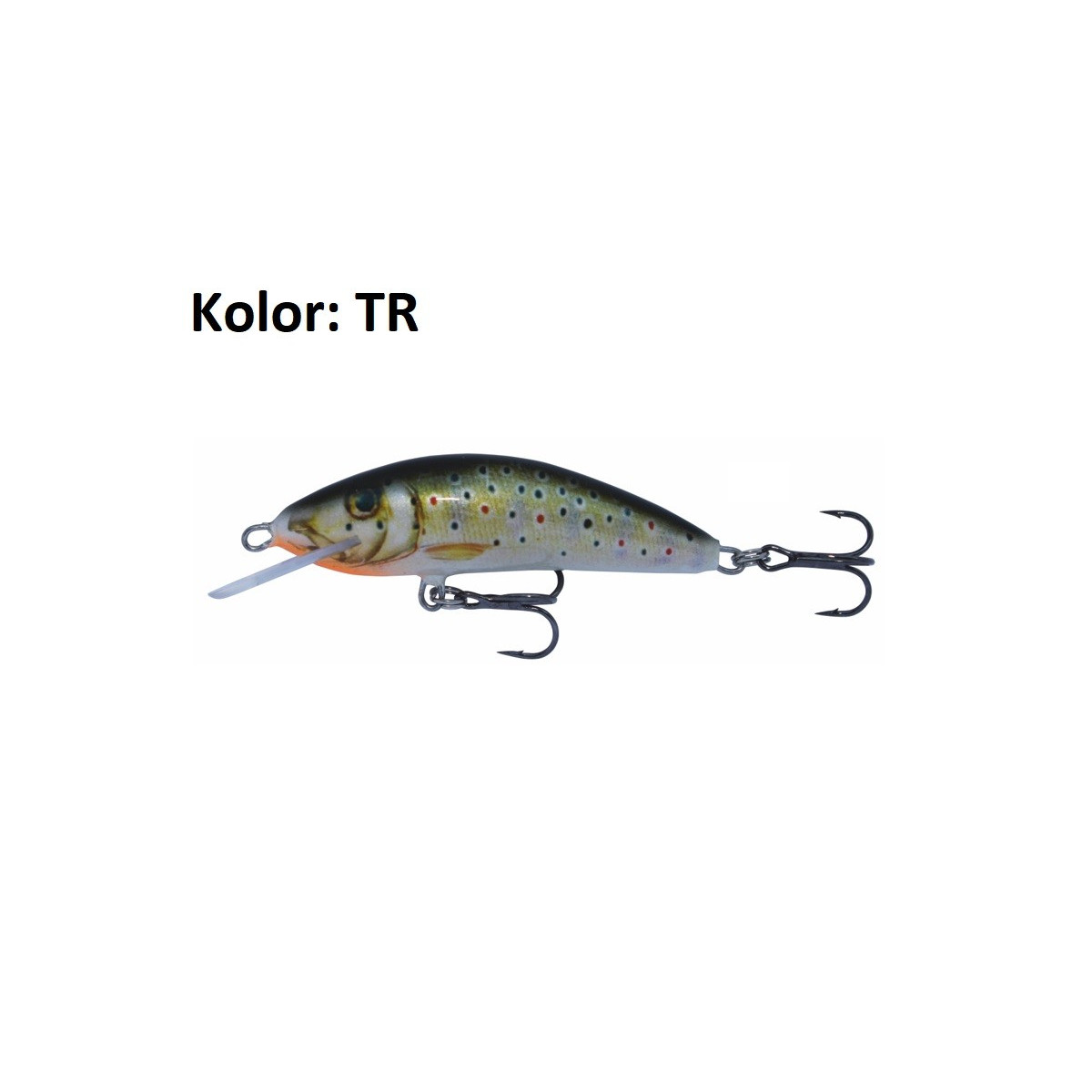 wobler-winner-kenart wobler-winner-kenart