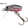 wobler-hs-beetle-jaxon