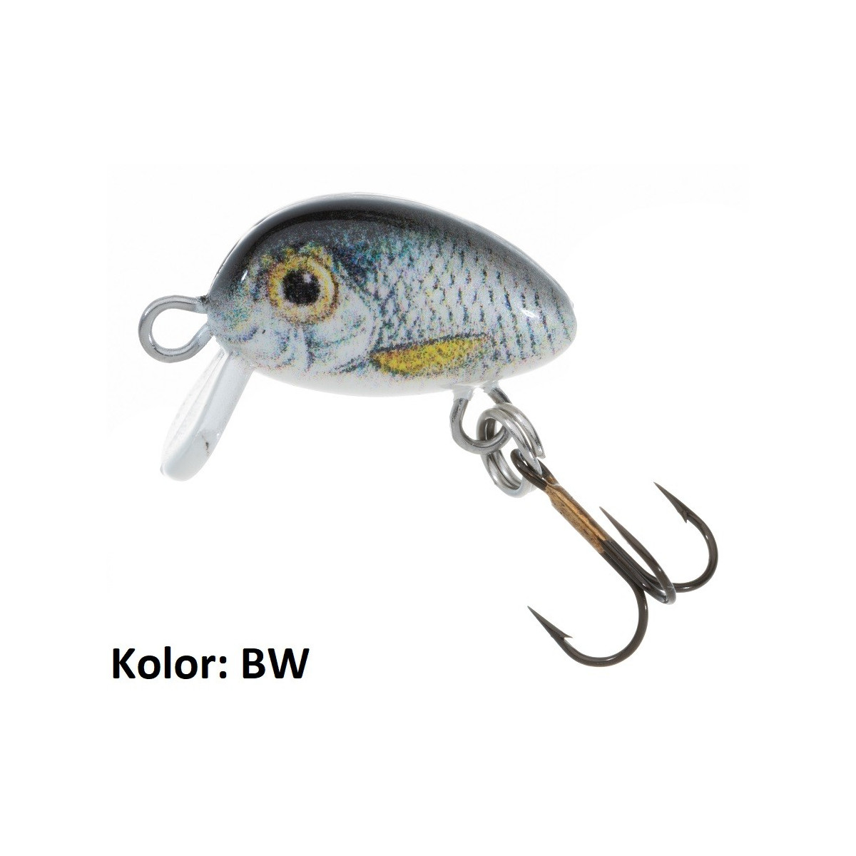 wobler-hs-micron-jaxon