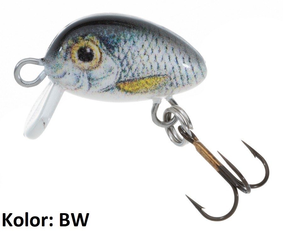 wobler-hs-micron-jaxon wobler-hs-micron-jaxon