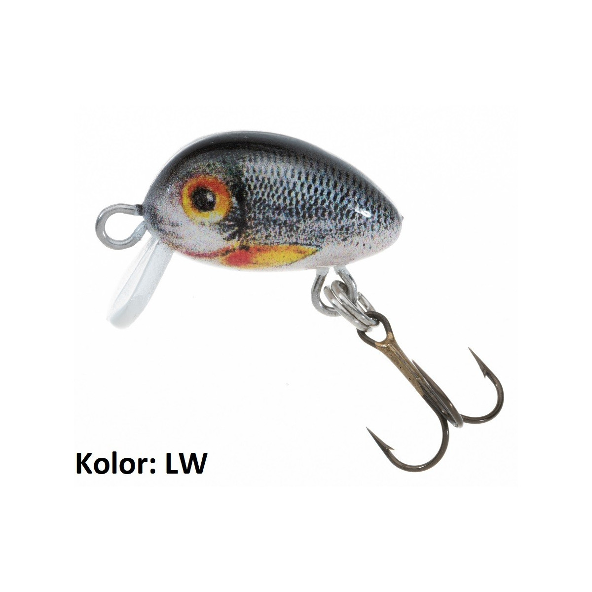 wobler-hs-micron-jaxon