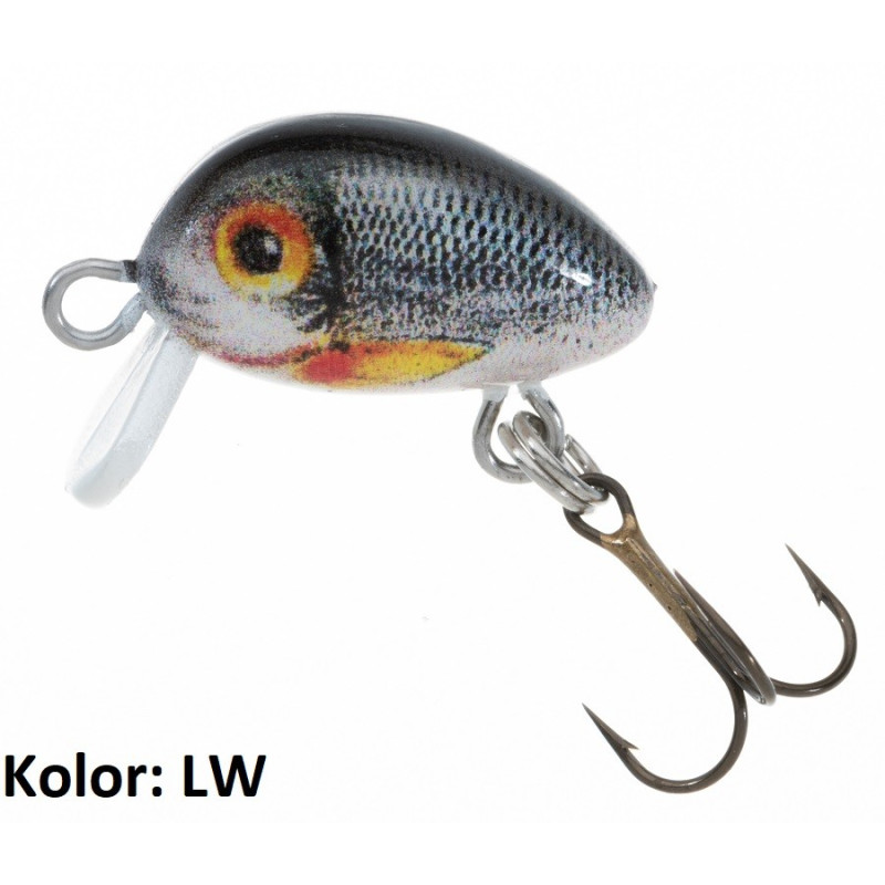 wobler-hs-micron-jaxon