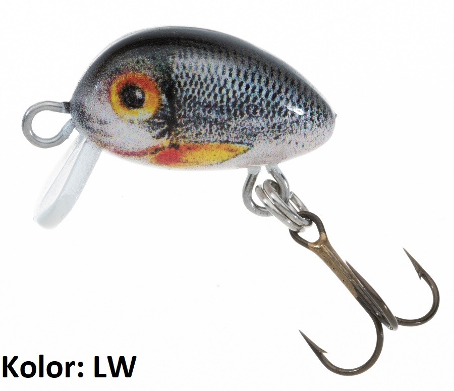 wobler-hs-micron-jaxon