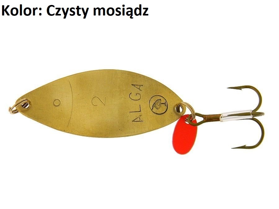 blystka-wahadlowa-alga-polsping blystka-wahadlowa-alga-polsping