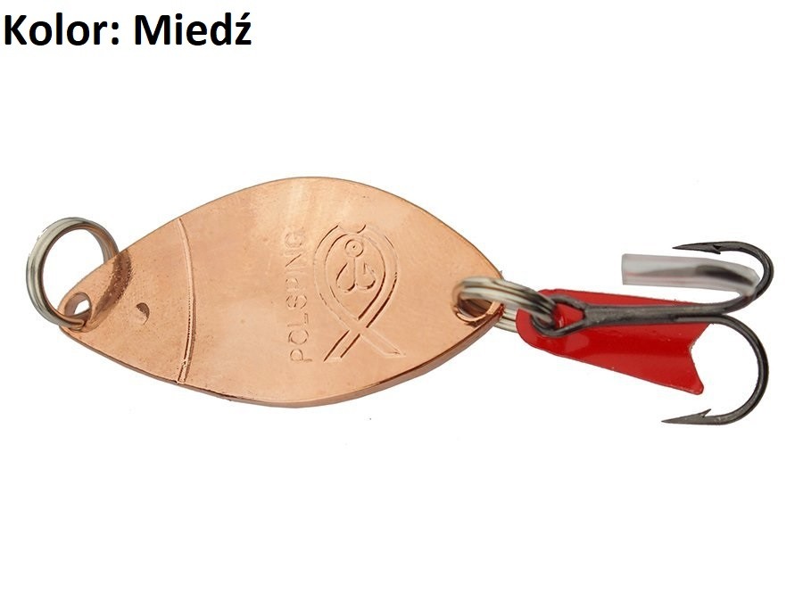 blystka-wahadlowa-alga-polsping blystka-wahadlowa-alga-polsping