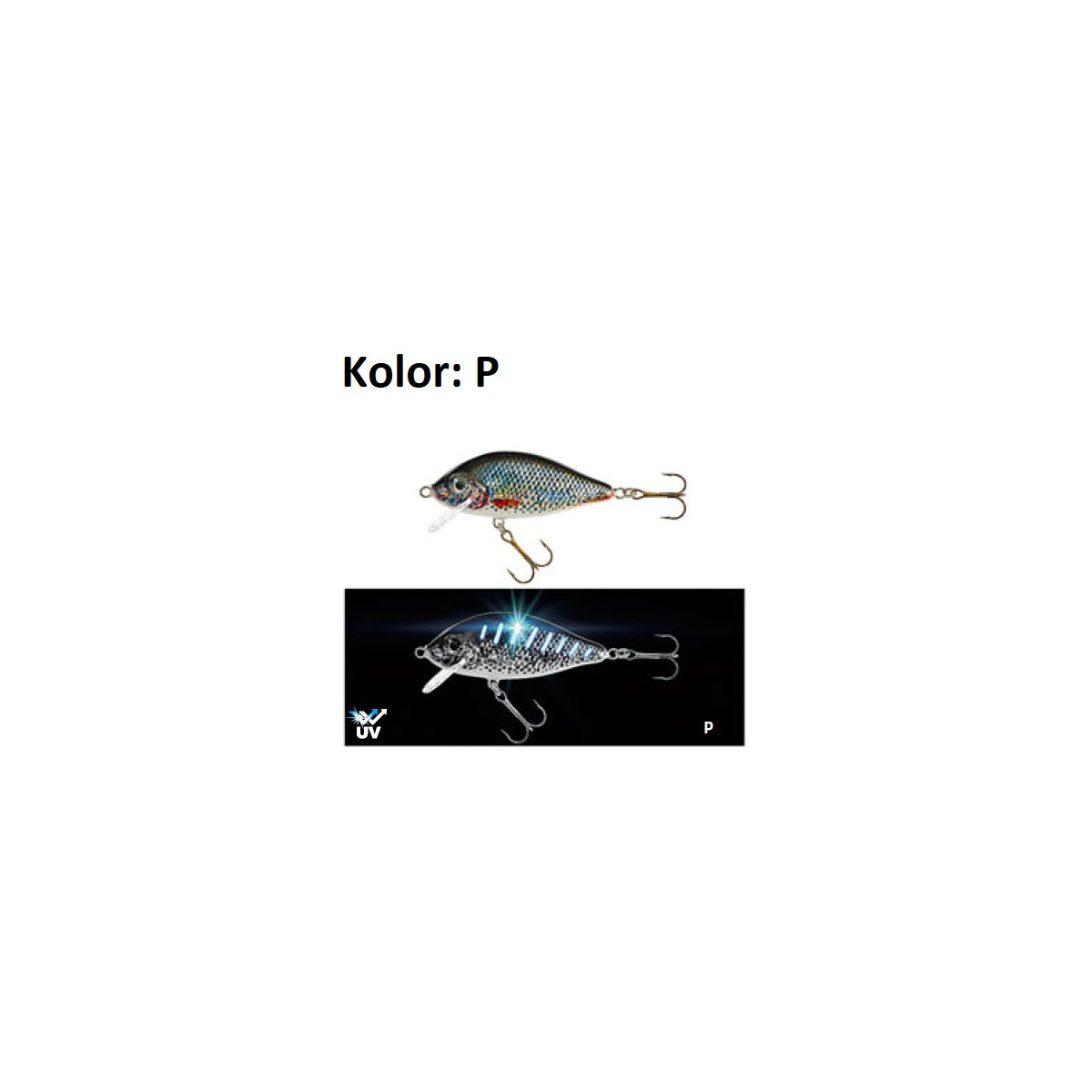 wobler-holo-select-karas-uv-jaxon