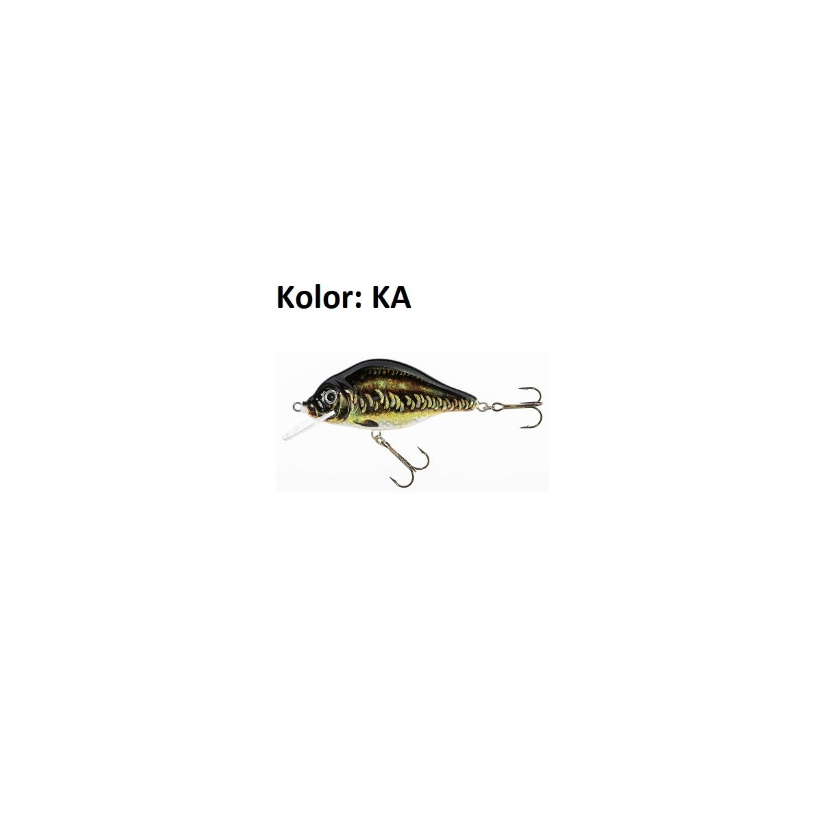 wobler-holo-select-carpan-jaxon