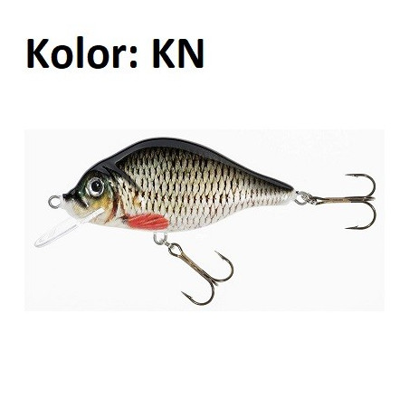 wobler-holo-select-carpan-jaxon