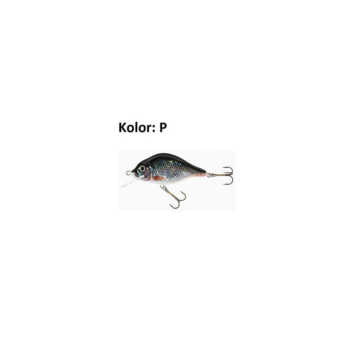 wobler-holo-select-carpan-jaxon