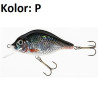 wobler-holo-select-carpan-jaxon