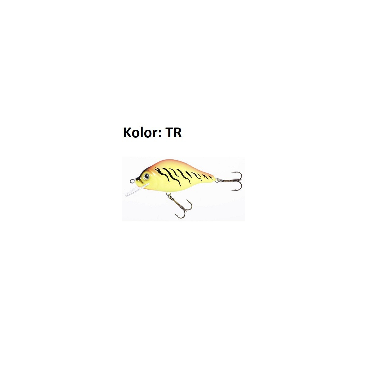 wobler-holo-select-carpan-jaxon