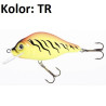 wobler-holo-select-carpan-jaxon