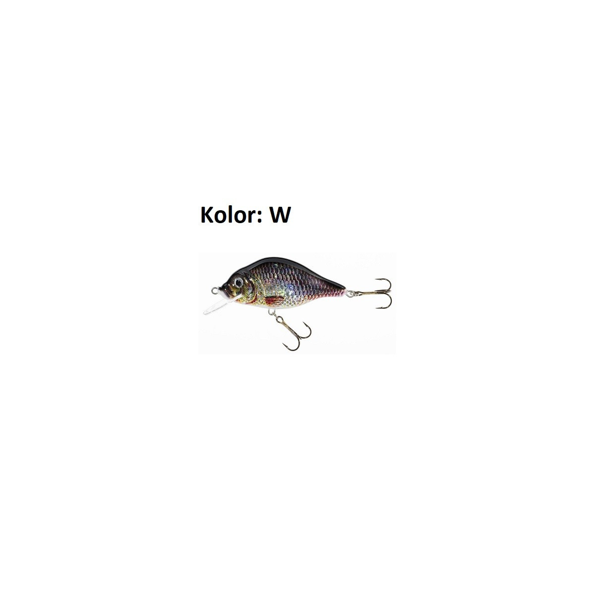 wobler-holo-select-carpan-jaxon