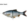 przyneta-4d-line-thru-roach-18-cm-ms-savage-gear