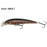 wobler-sweeper-natural-kinetic