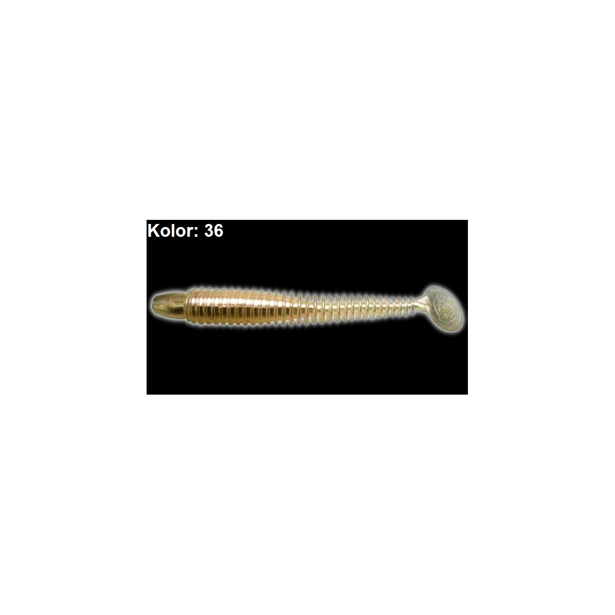 guma-drop-shot-swimming-ribster-lunker-city guma-drop-shot-swimming-ribster-lunker-city