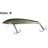 wobler-nike-100-tonacy-gloog