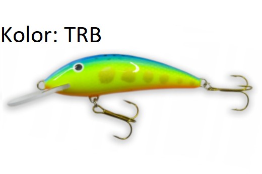 wobler-kalipso-sdr-gloog