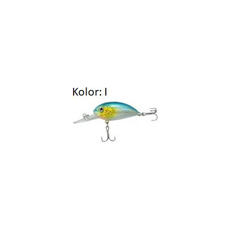wobler-atract-aris-jaxon