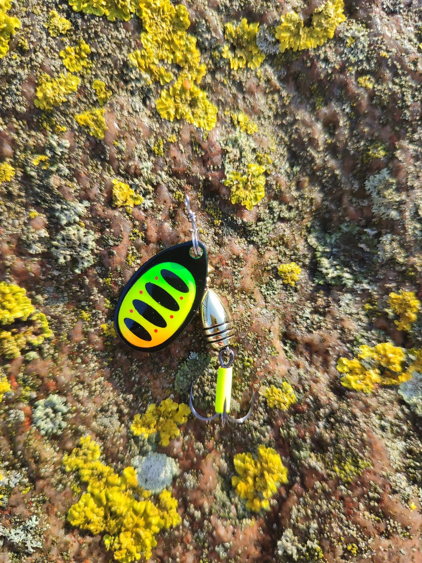 blystka-obrotowa-rotex-8g-11g-savage-gear blystka-obrotowa-rotex-8g-11g-savage-gear